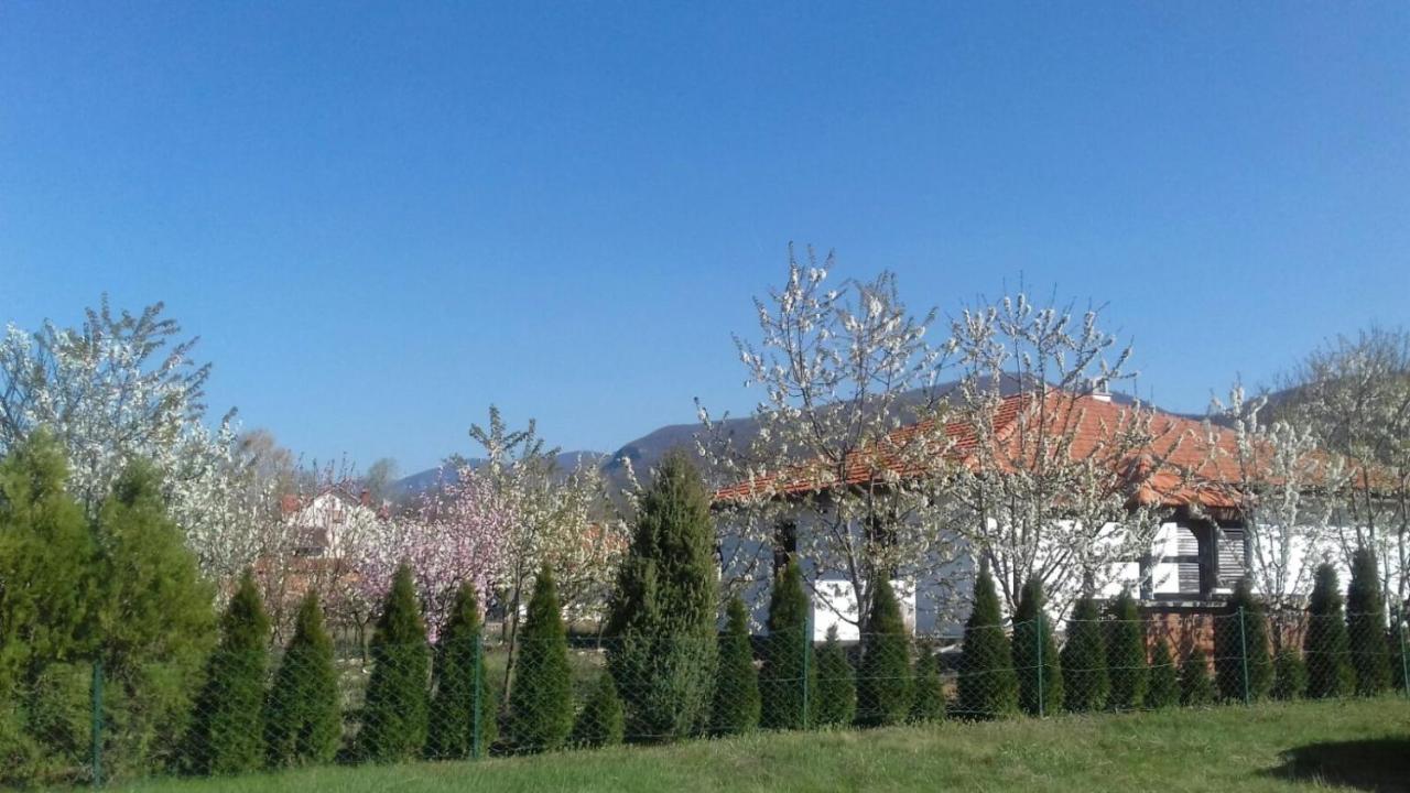 House Milovanovic Soko Banja Εξωτερικό φωτογραφία