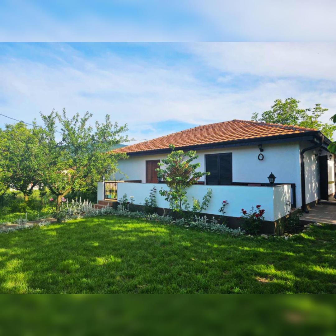 House Milovanovic Soko Banja Εξωτερικό φωτογραφία