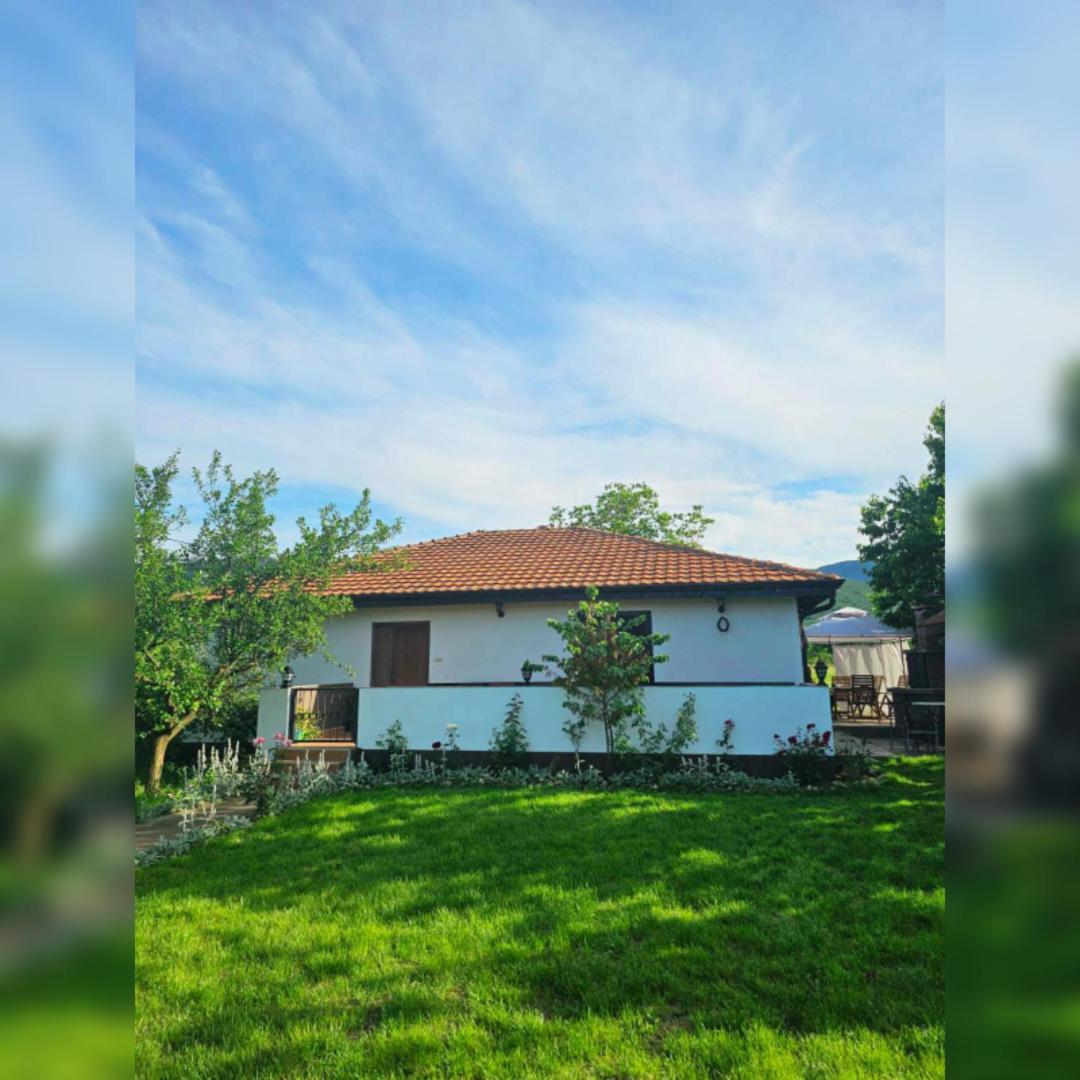 House Milovanovic Soko Banja Εξωτερικό φωτογραφία